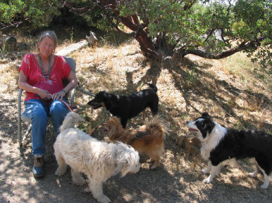Charlotte with the dogs, August 2011
